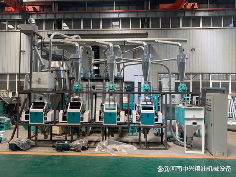 挂面产业新风向：批发市场的革新之道